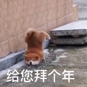 欧美丰满熟妇XXXX
