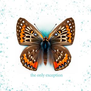 欧美丰满熟妇XXXX
